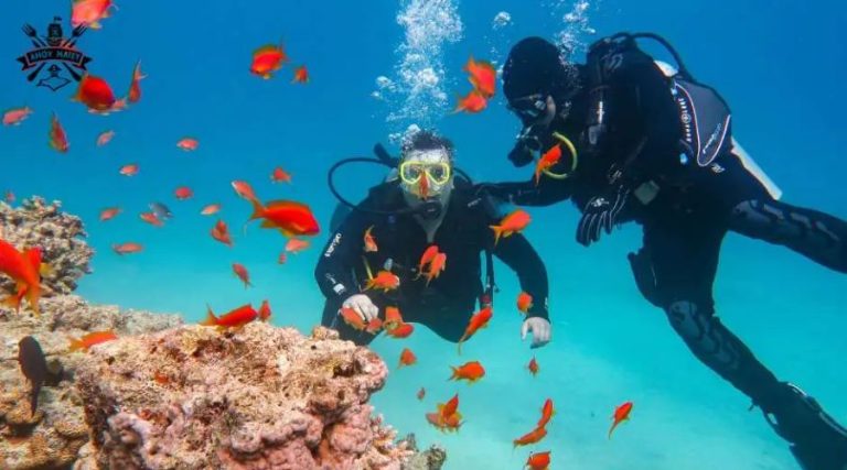 Affordable Scuba Diving Trips: How to Explore the Underwater World on a Budget