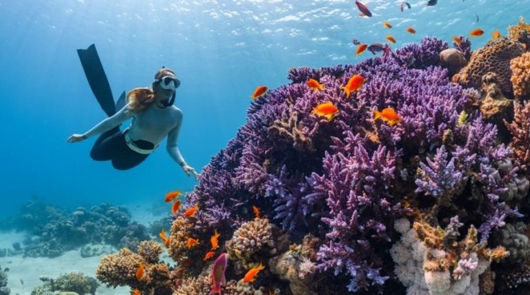 Best Snorkeling Reefs: Discover the World’s Most Stunning Underwater Wonders